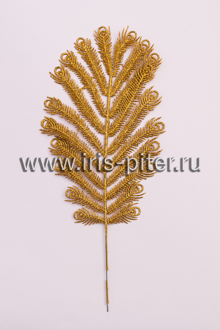 Папоротник мерцающий павлиний глаз