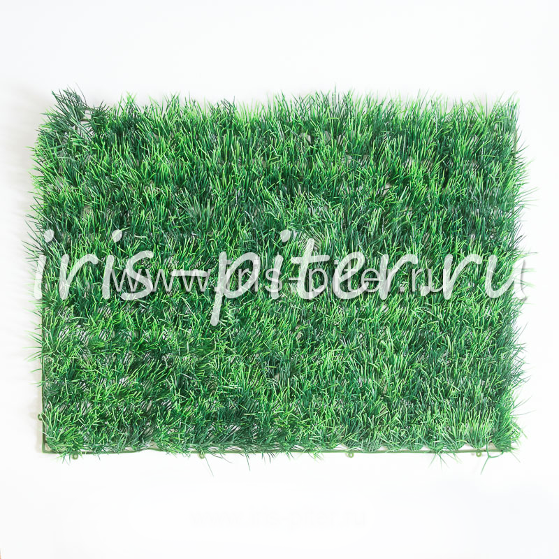 Газон трава осока