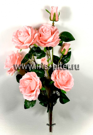 Роза горшечн 5г 3бут 