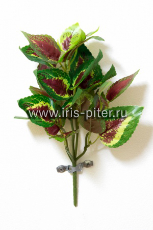 Куст горшечный маленький