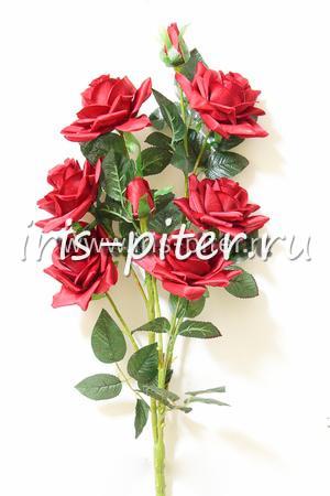 Роза горшечная 6г 2бут