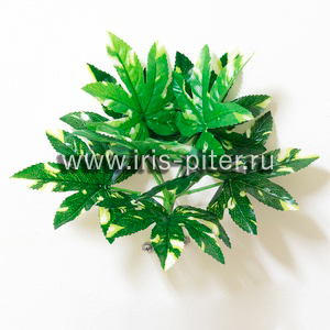 Куст горшечный