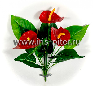 Антуриум 3г горшечный