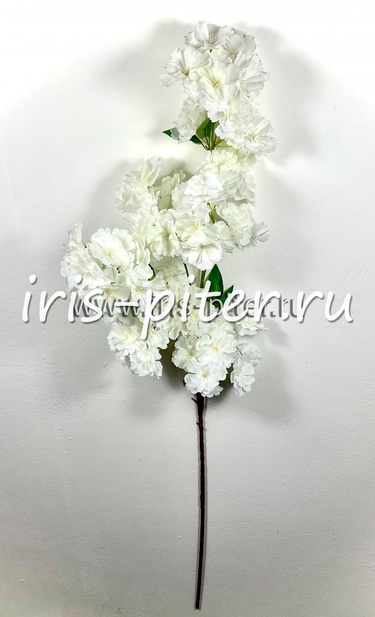 Ветка сакура пышная белая