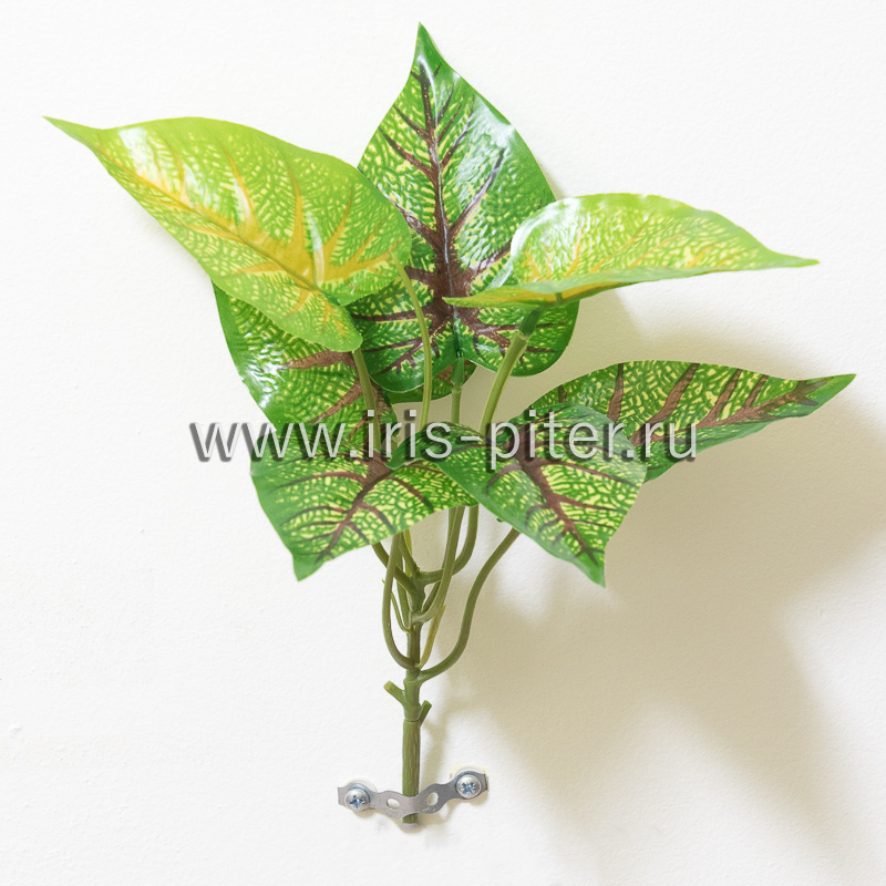 Куст горшечный