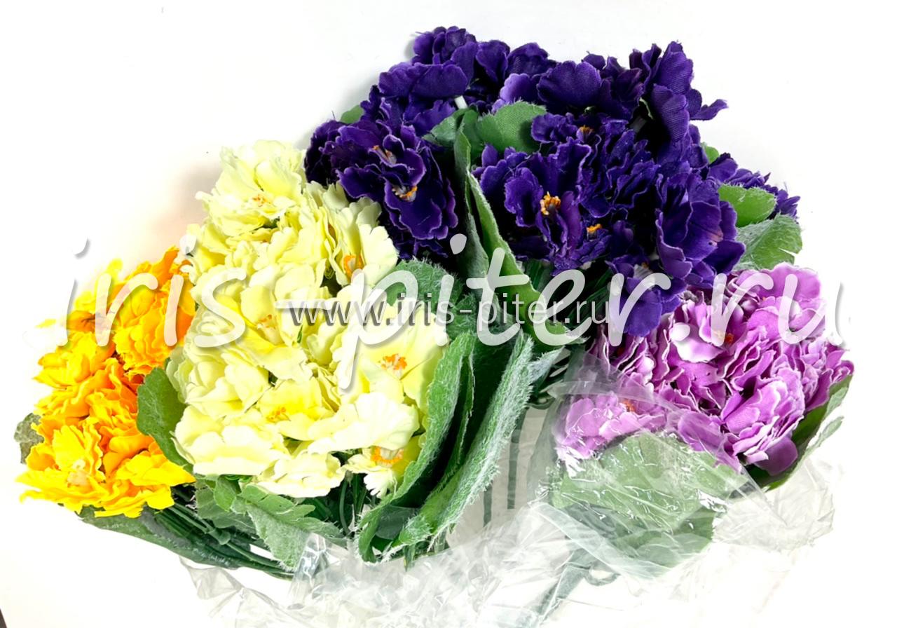 Фиалка горшечная