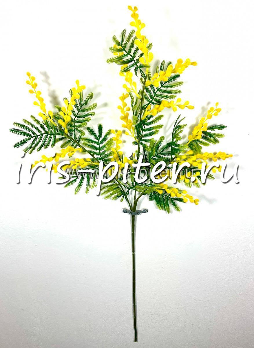 Ветка мимоза 3вет
