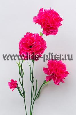 Ветка гвоздики 3 г 2 бутона 