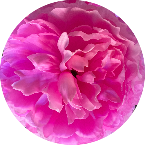 Яркорозовый