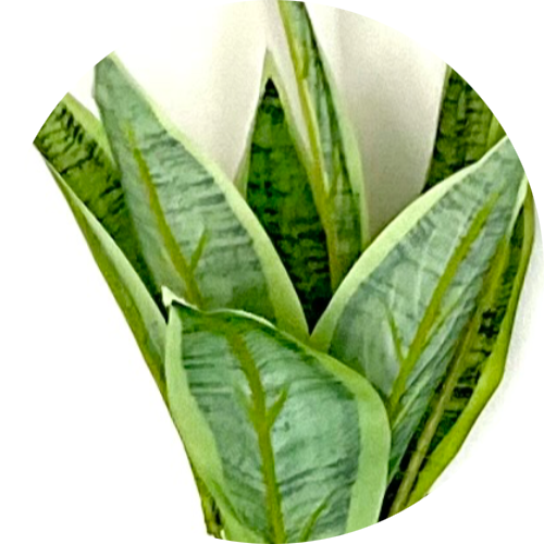 Ханни пагода