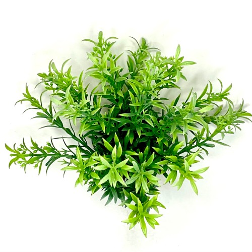 Светло-зеленый 