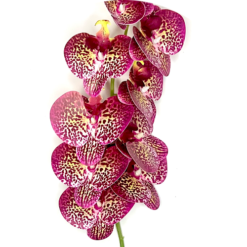 Леопардовый