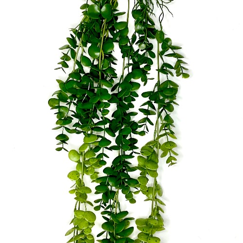 Светло-зеленый