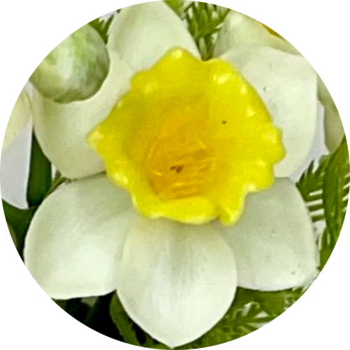 Бело-желтый