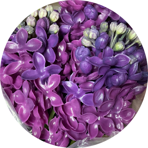 Сиренево-фиолетовый