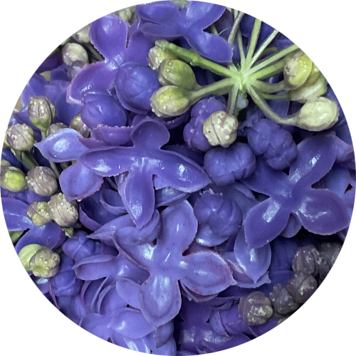 Фиолетовый