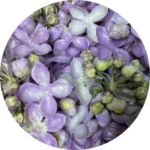 Светло-сиреневый