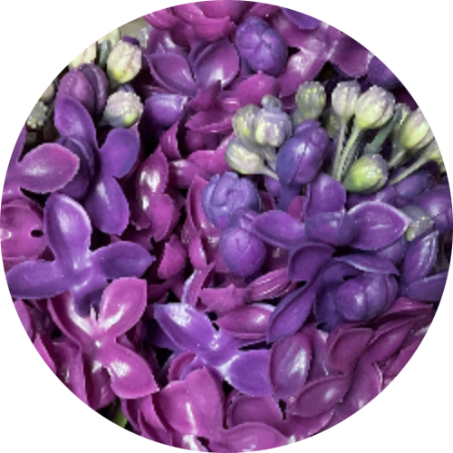 Сиренево-фиолетовый