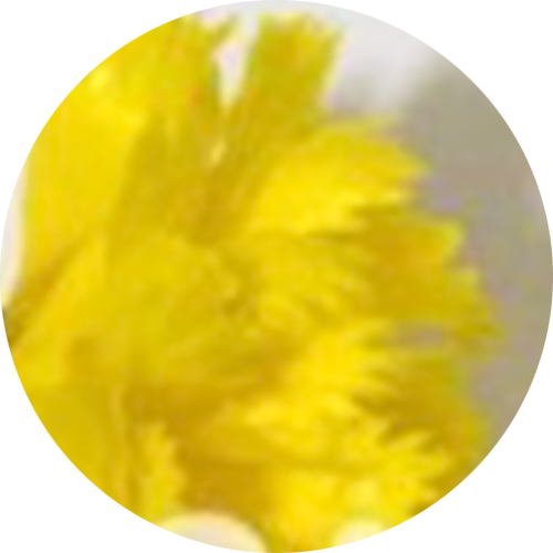 Жёлтый