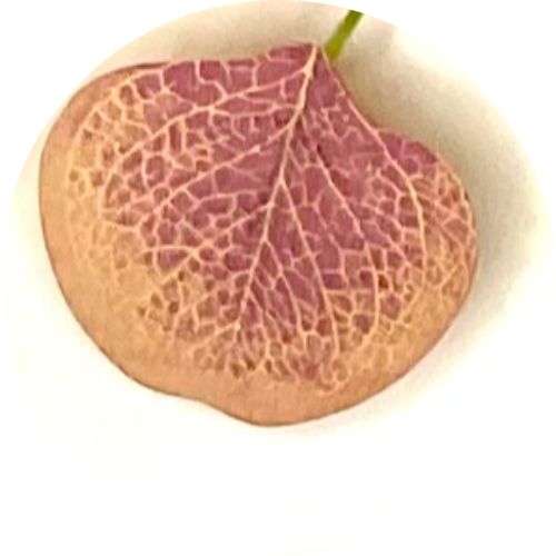 Персиковый