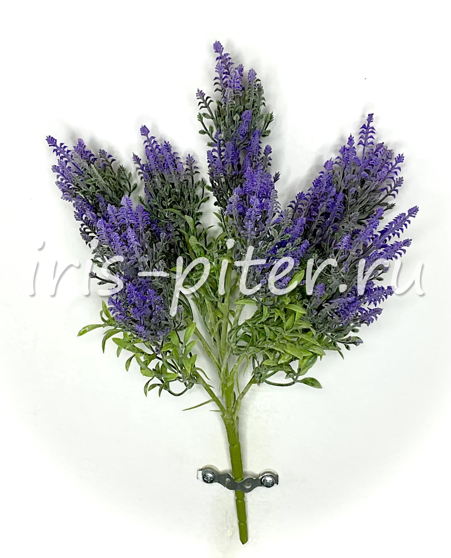 Лаванда 7вет 14г