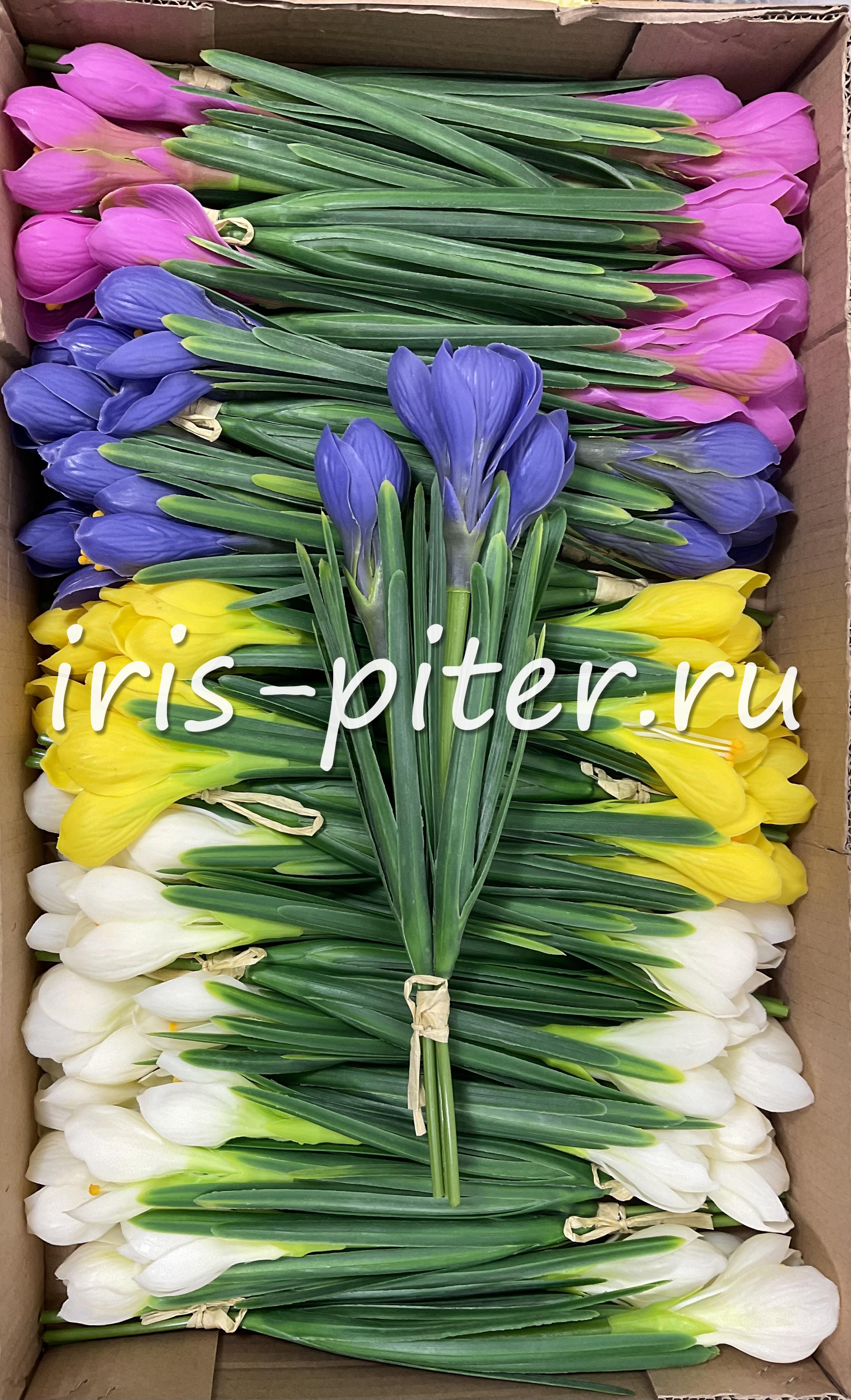 крокус 3в латекс 