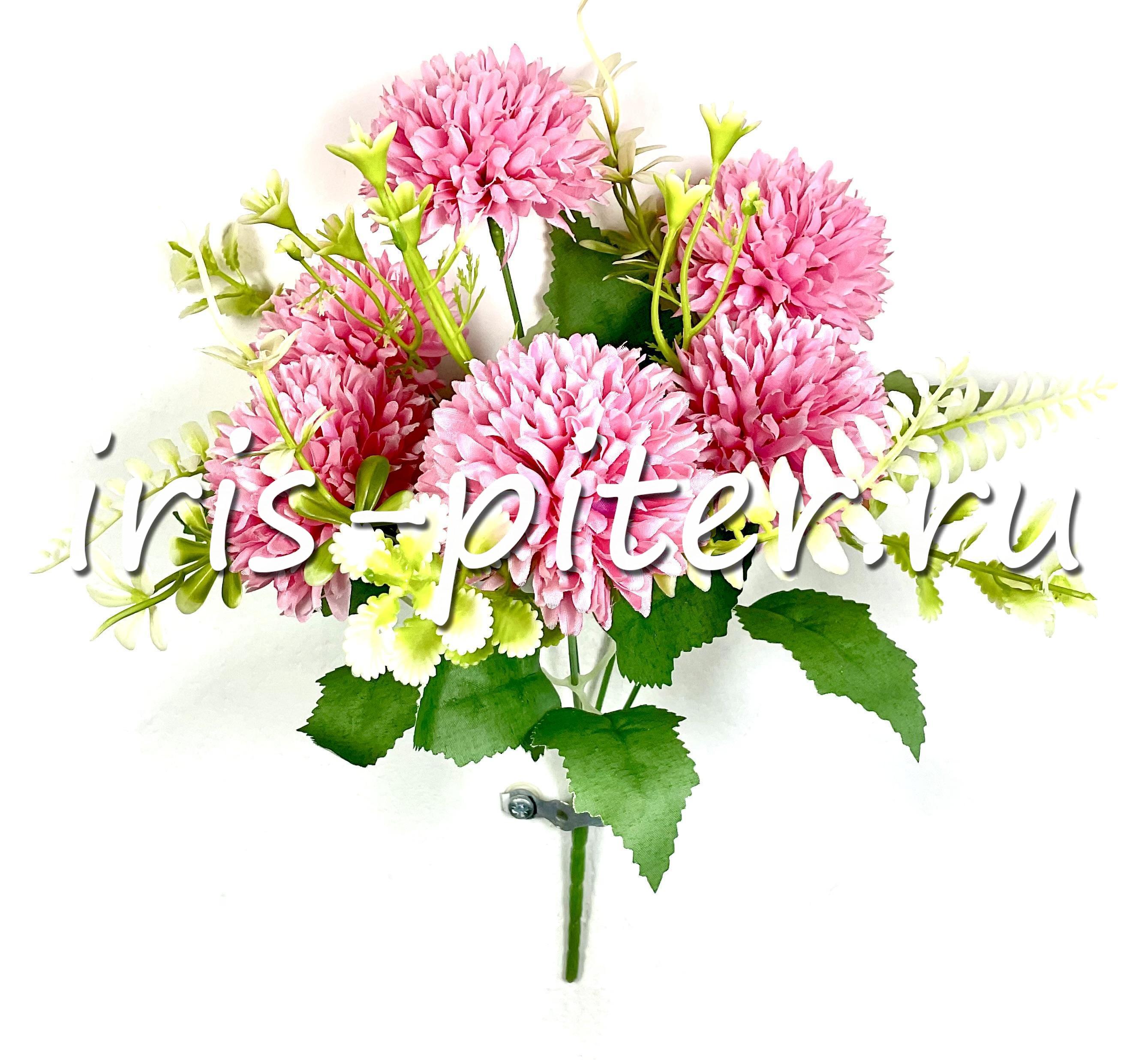 Букет хризантема 6г 