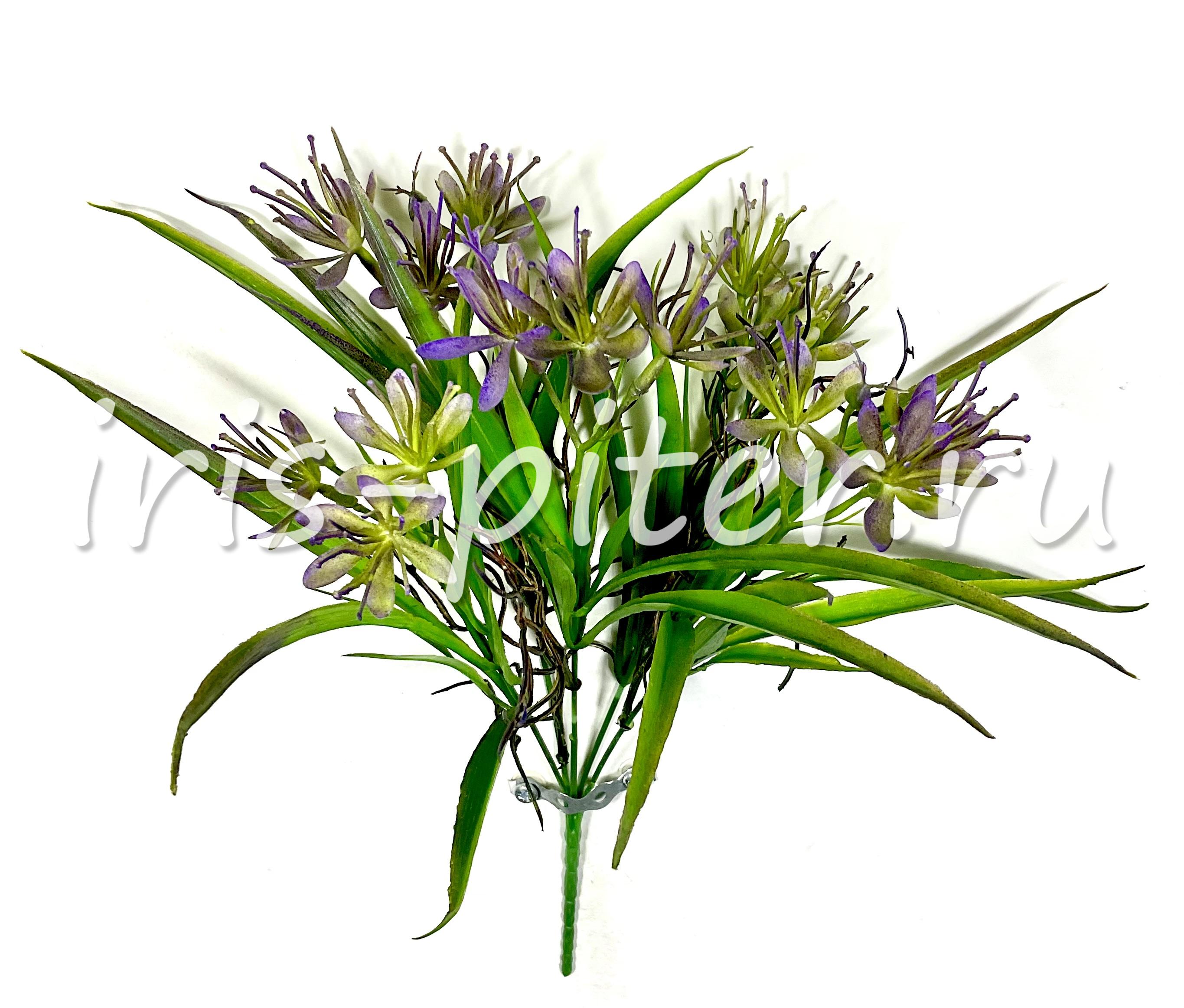 Букет гейджия цветущая 5вет 10г