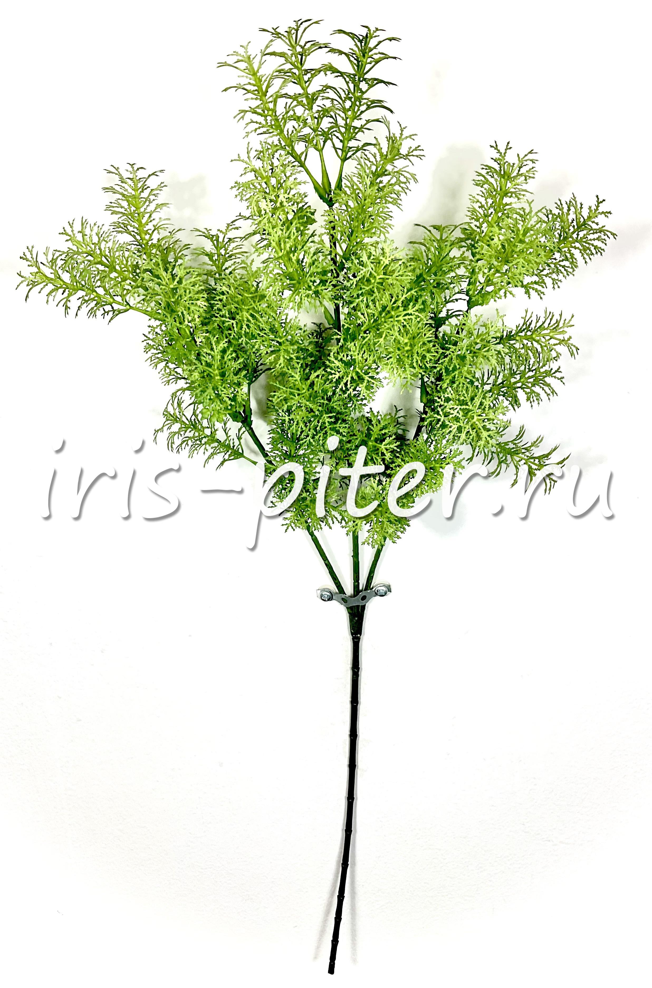 Ветка можжевельник 3вет