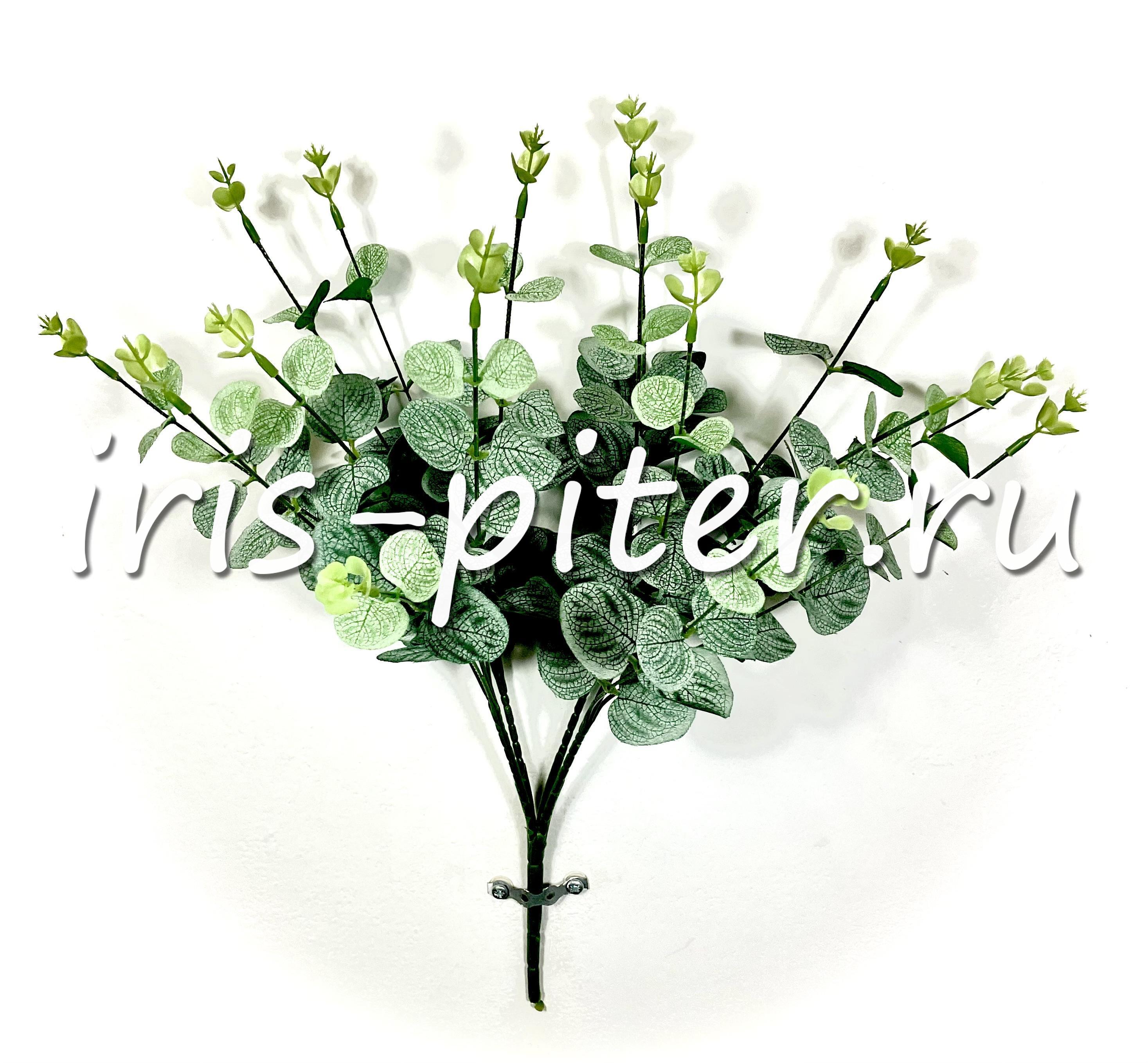 Куст эвкалипт 16вет 