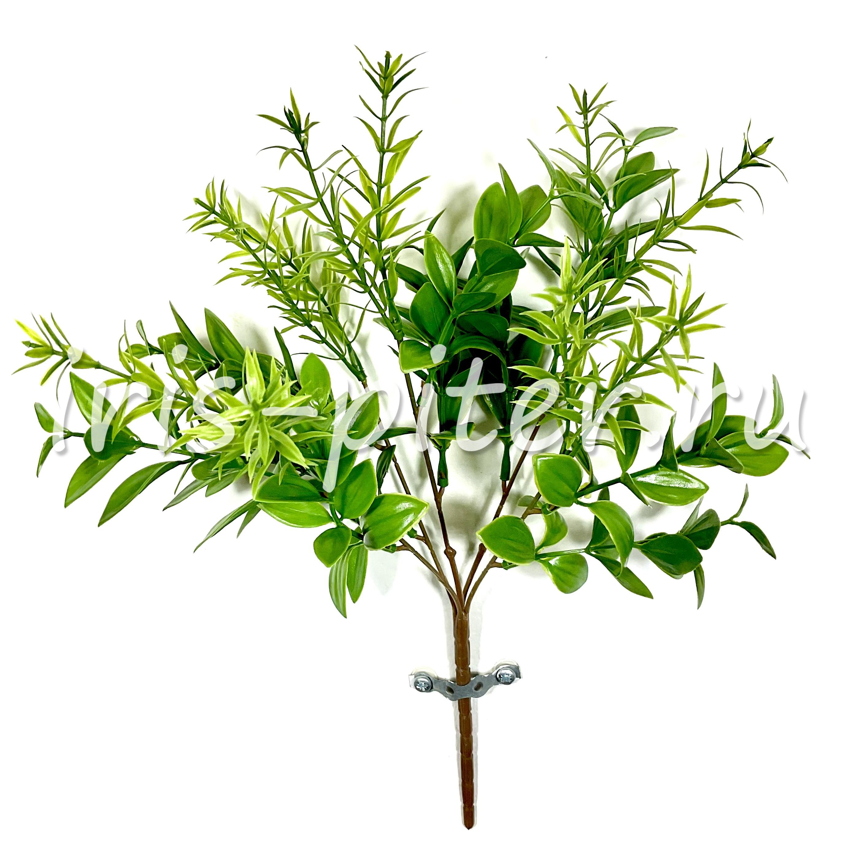 Традесканция 5вет с розмарином