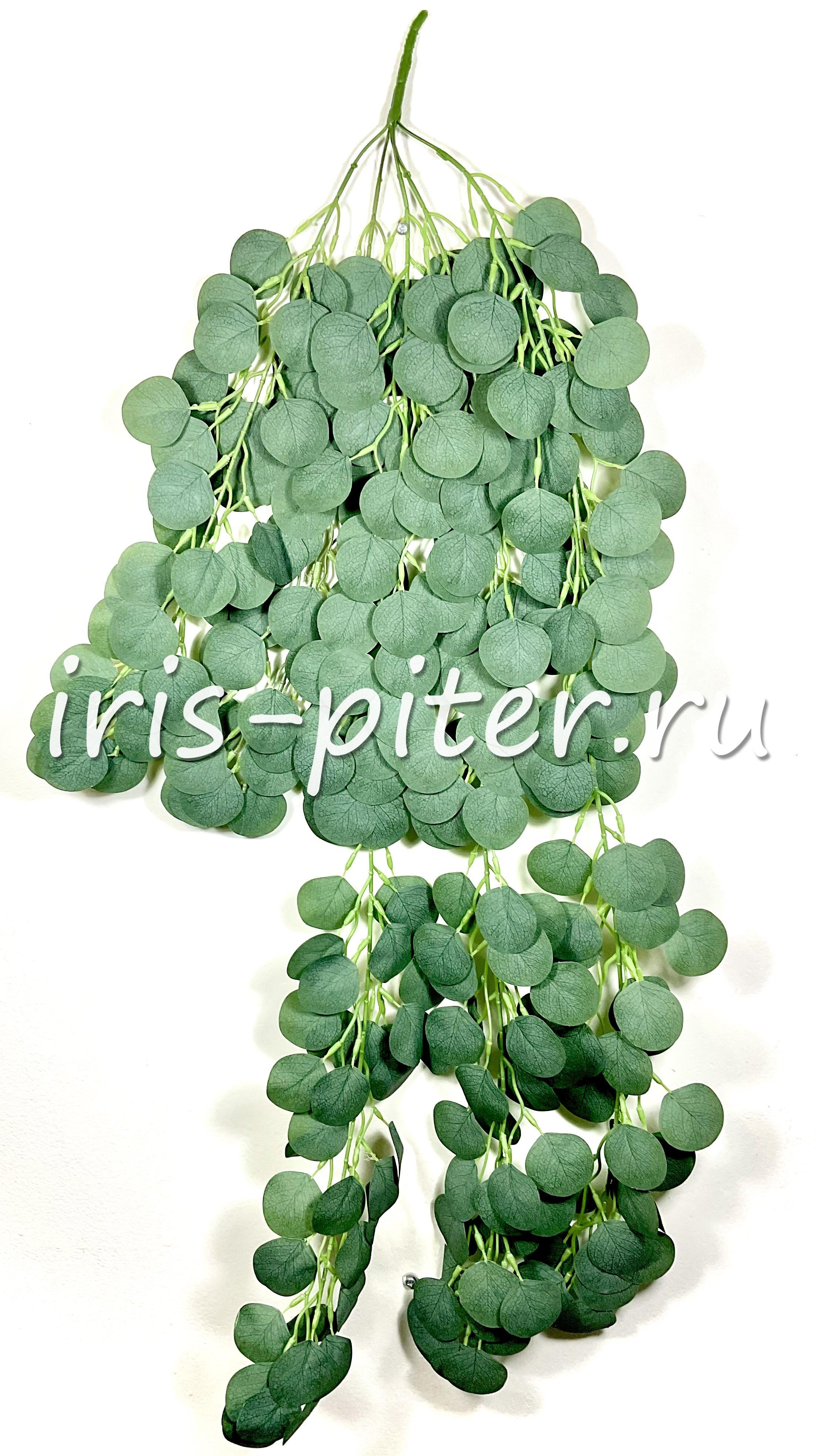 Ветка эвкалипт ампельная 5вет 