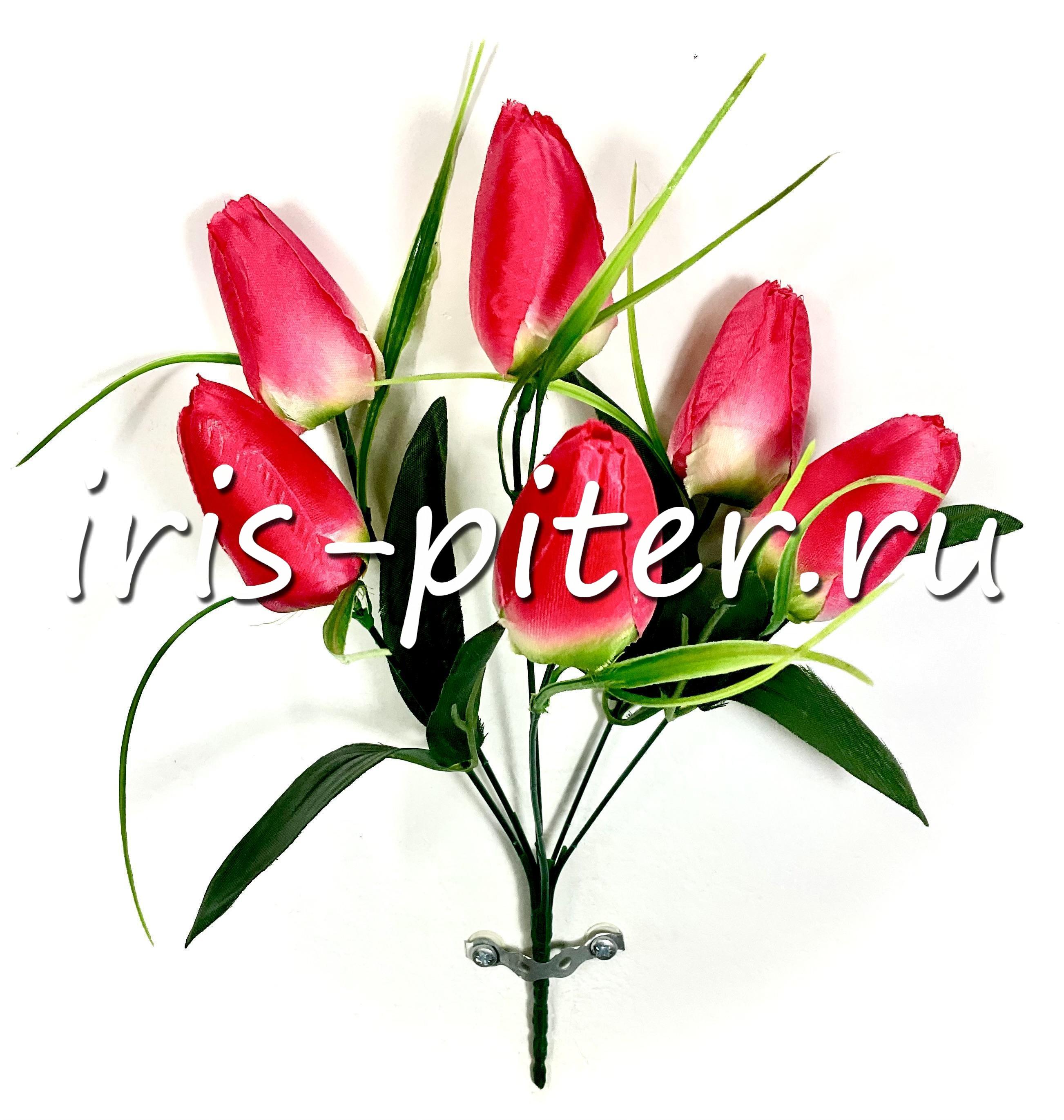 Букет тюльпан 6г 