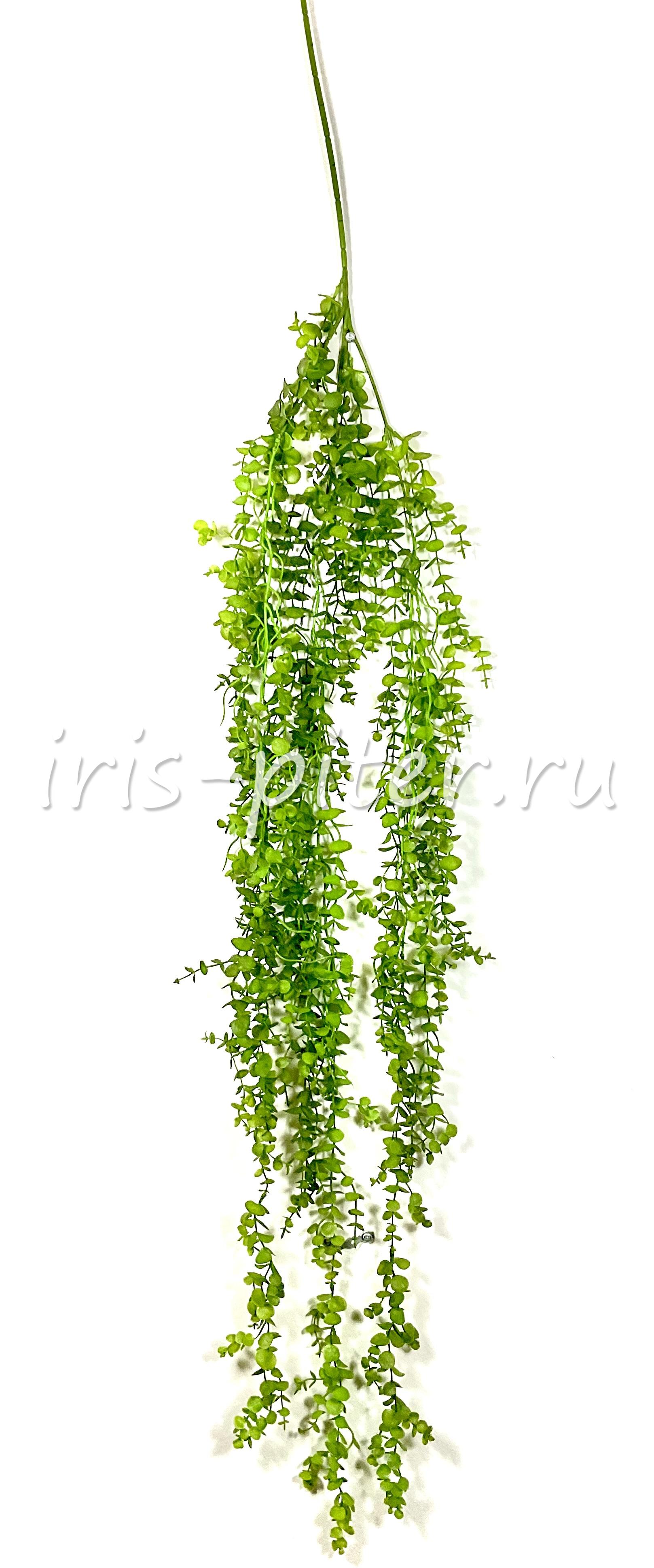 Ветка самшит 150см 