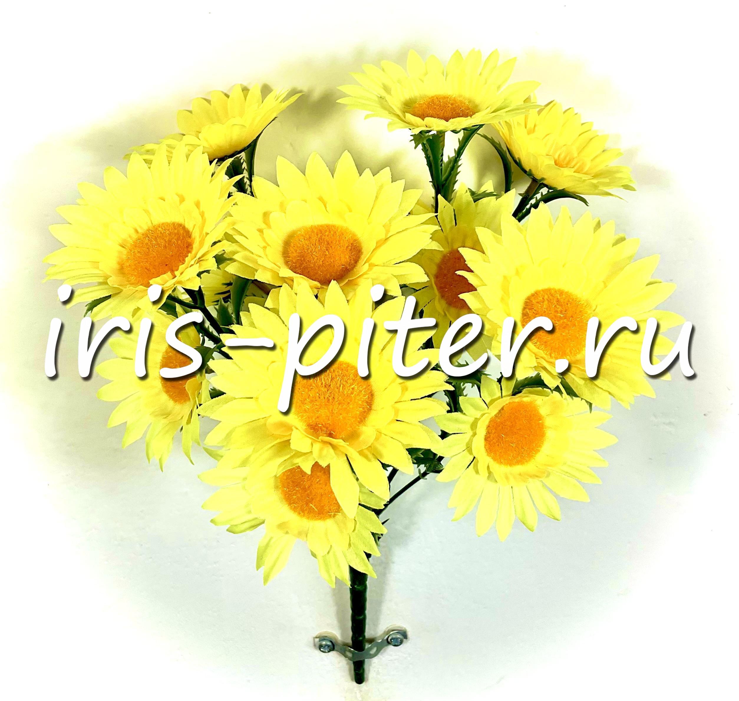 Букет ромашка 14г