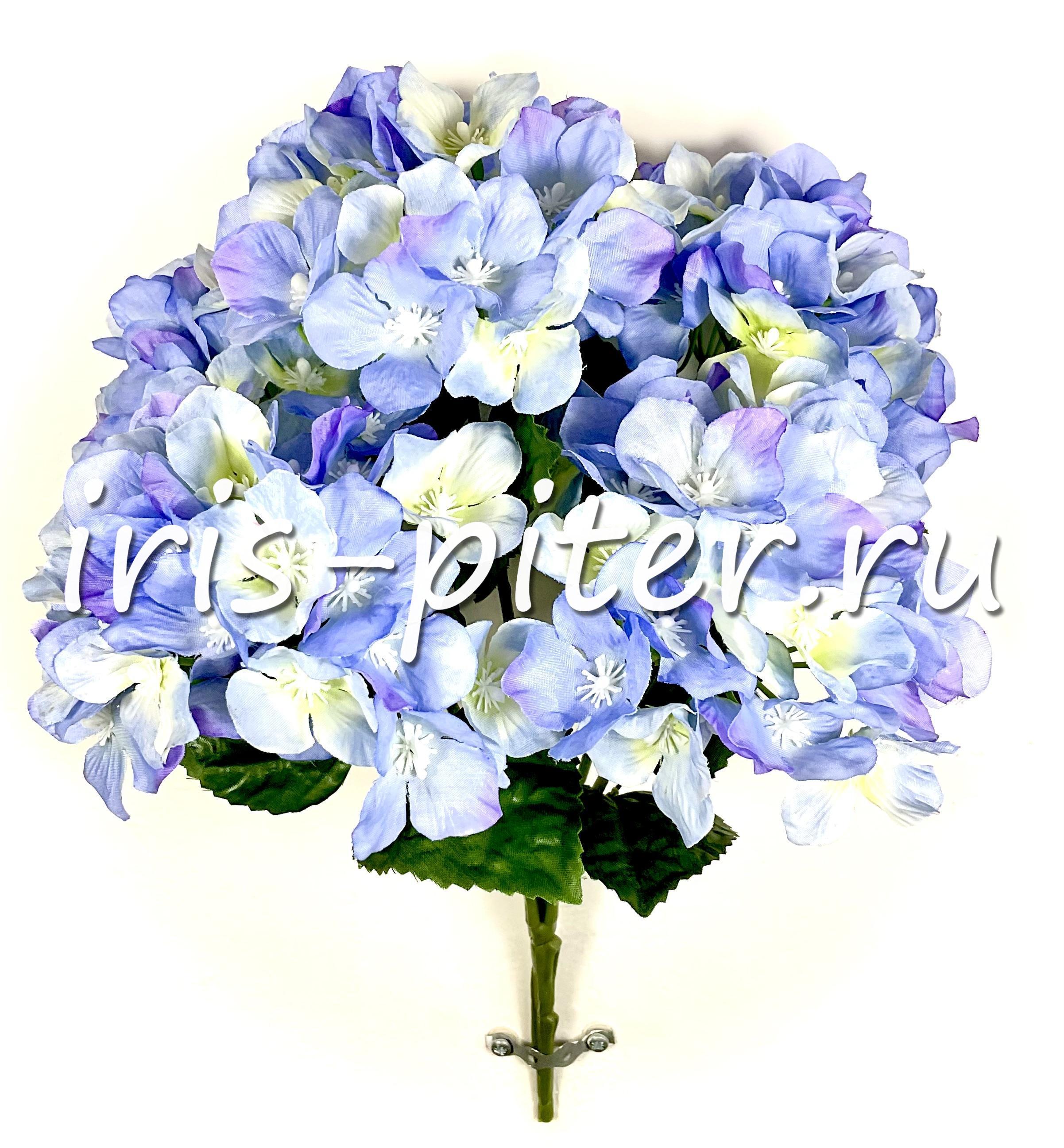 Букет гортензия 5в