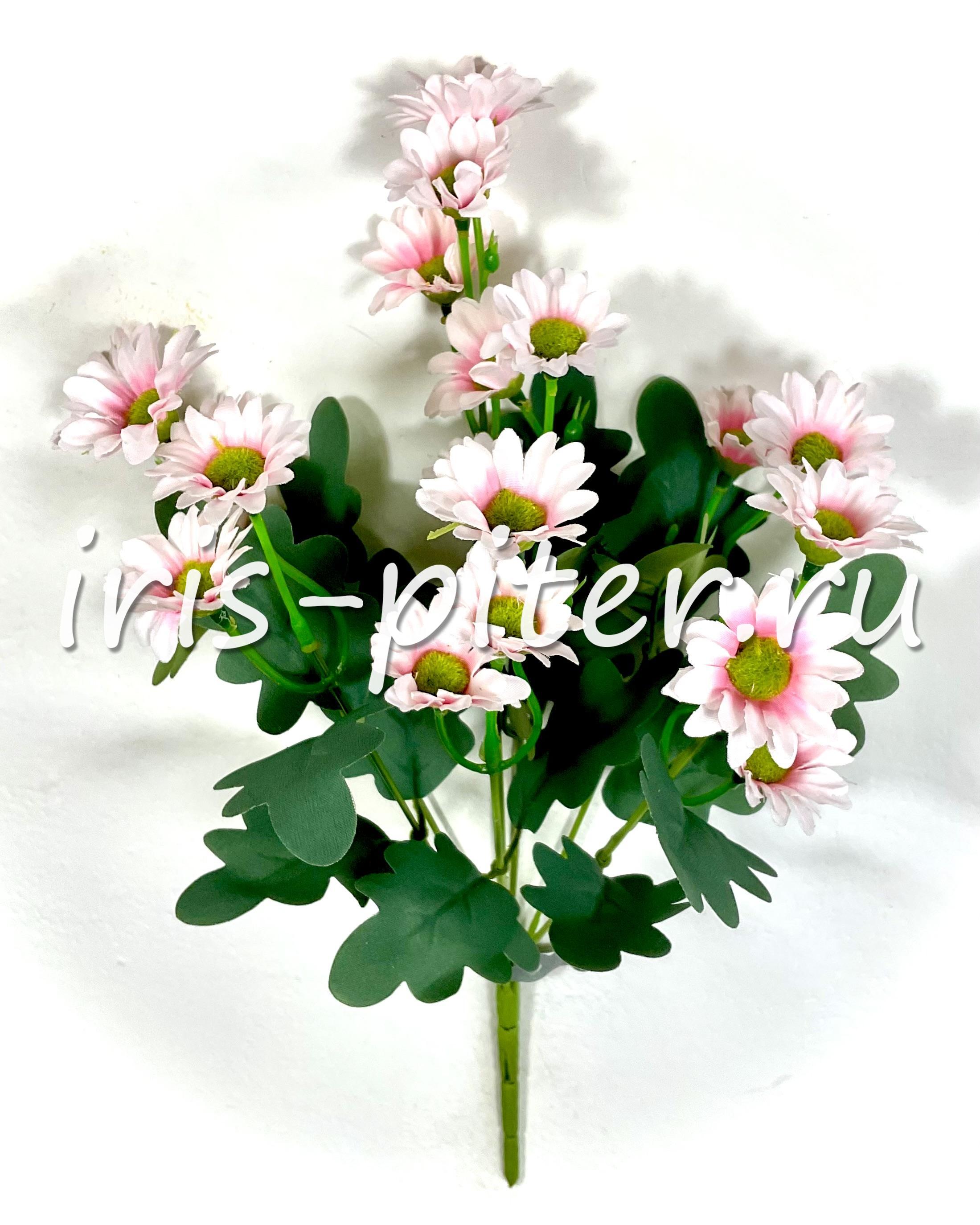 Букет ромашка 21г зел серединка 