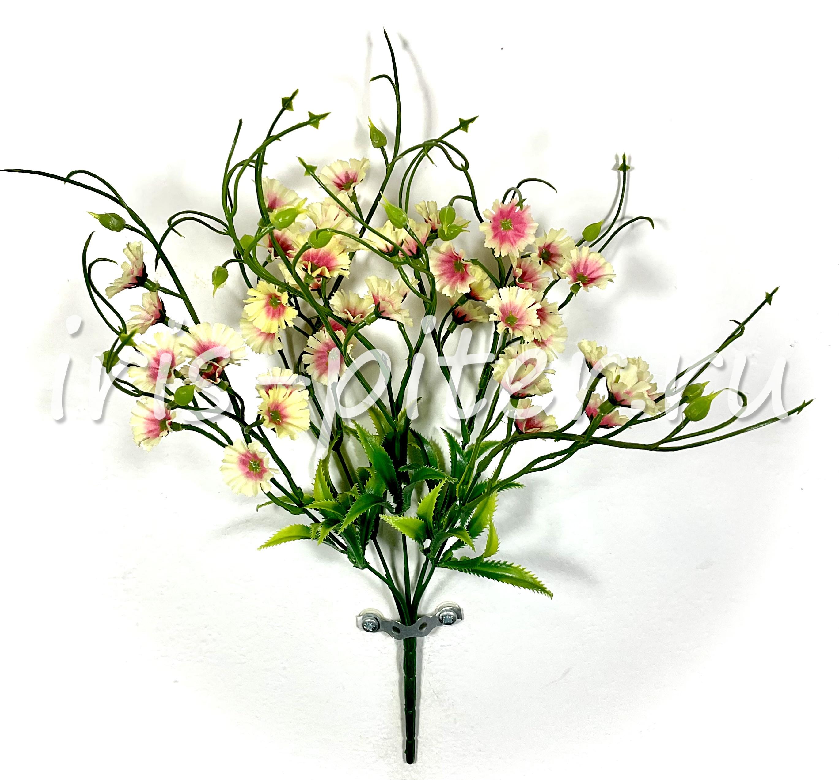 Букет гвоздика полевая 30г