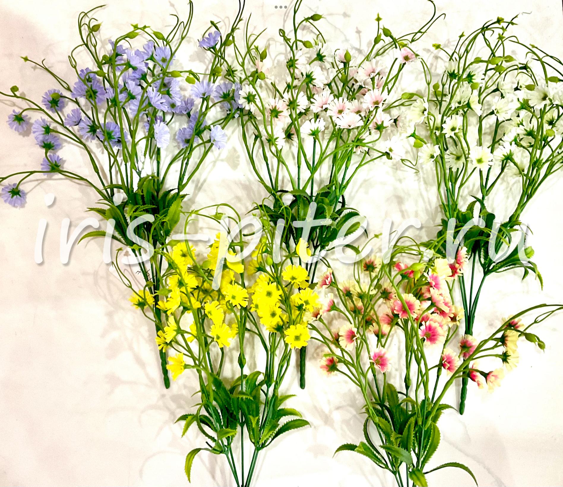 Букет гвоздика полевая 30г