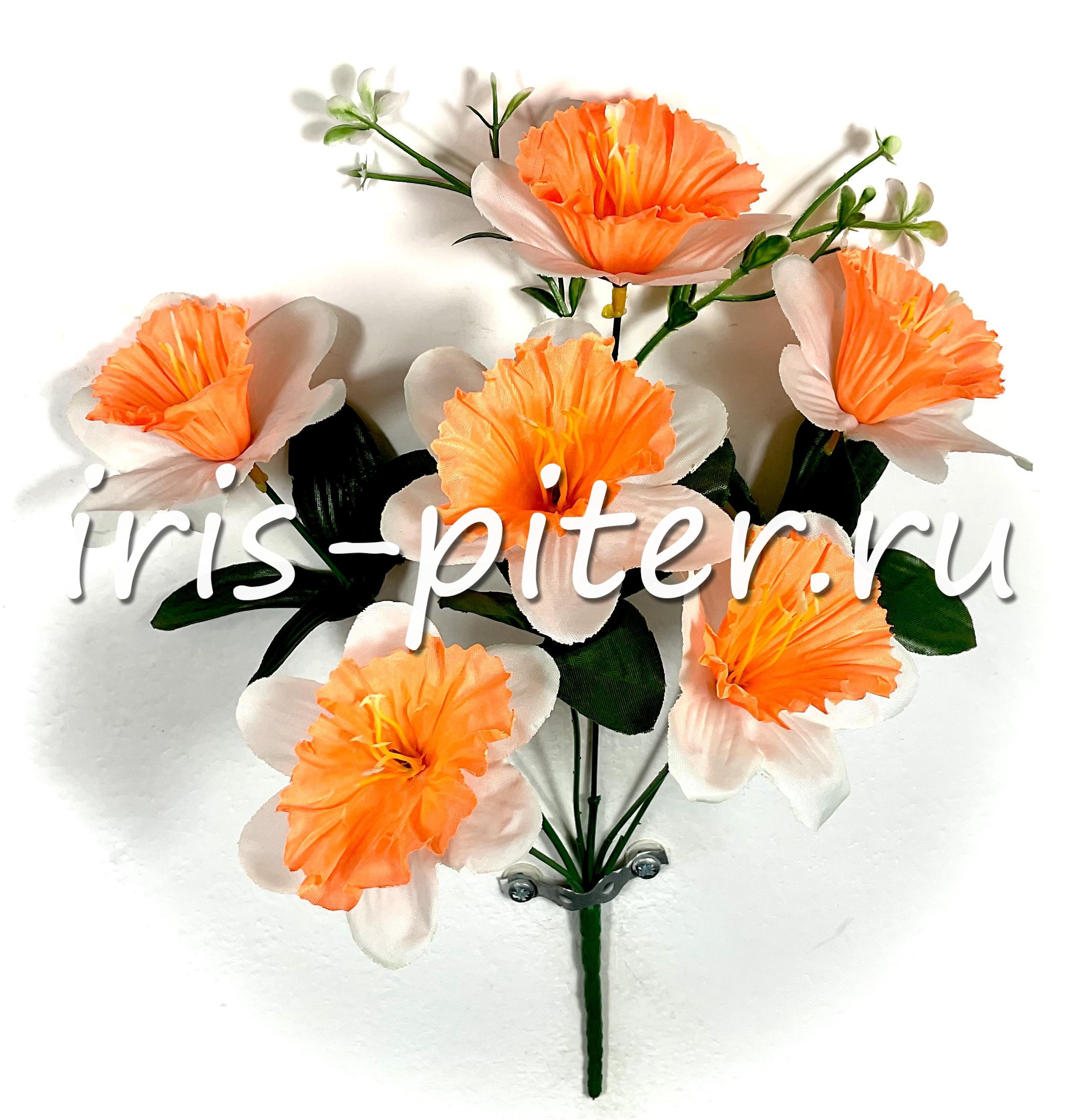 Букет нарцисс 6г микс