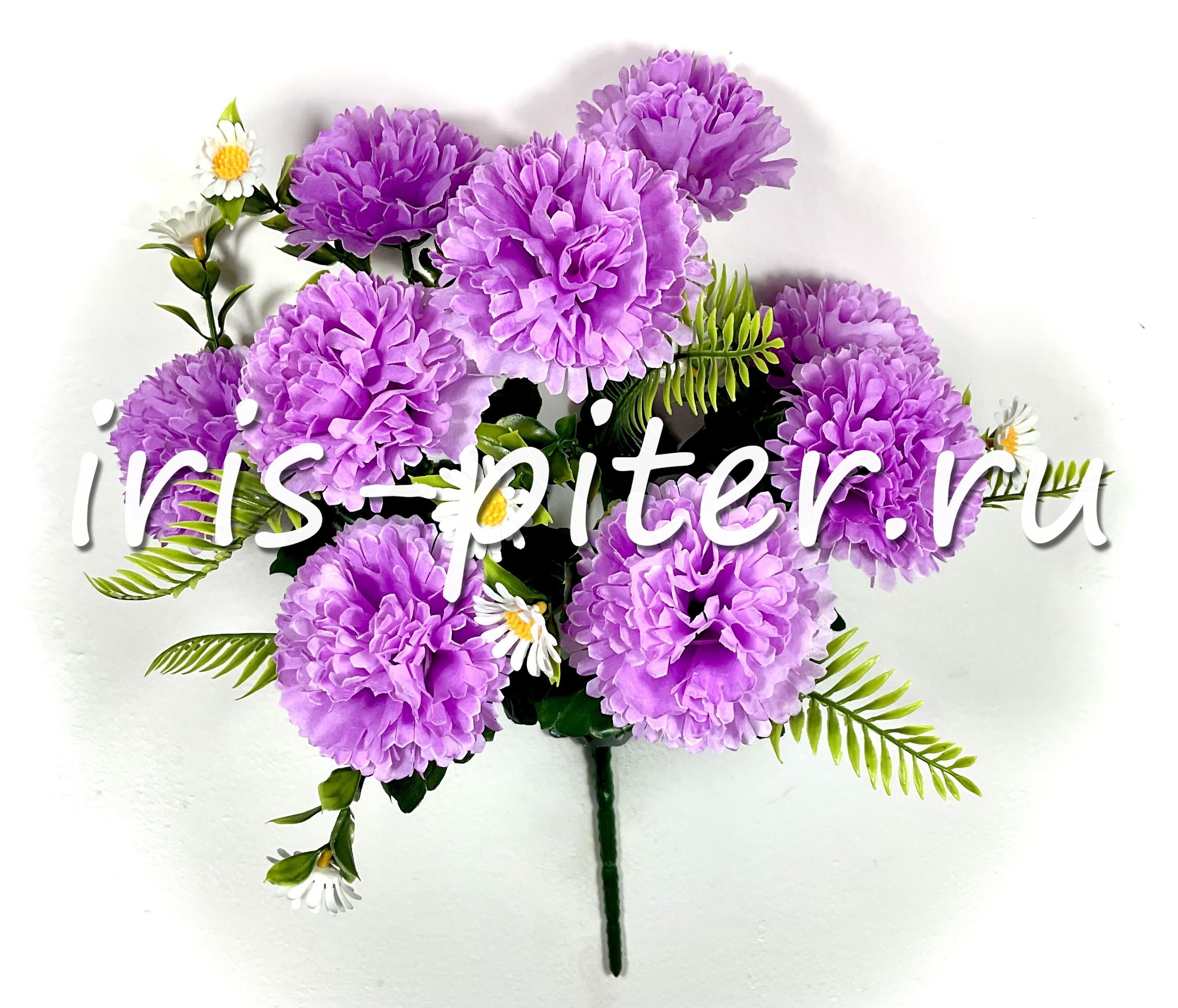 Букет гвоздика 9г с ромашкой