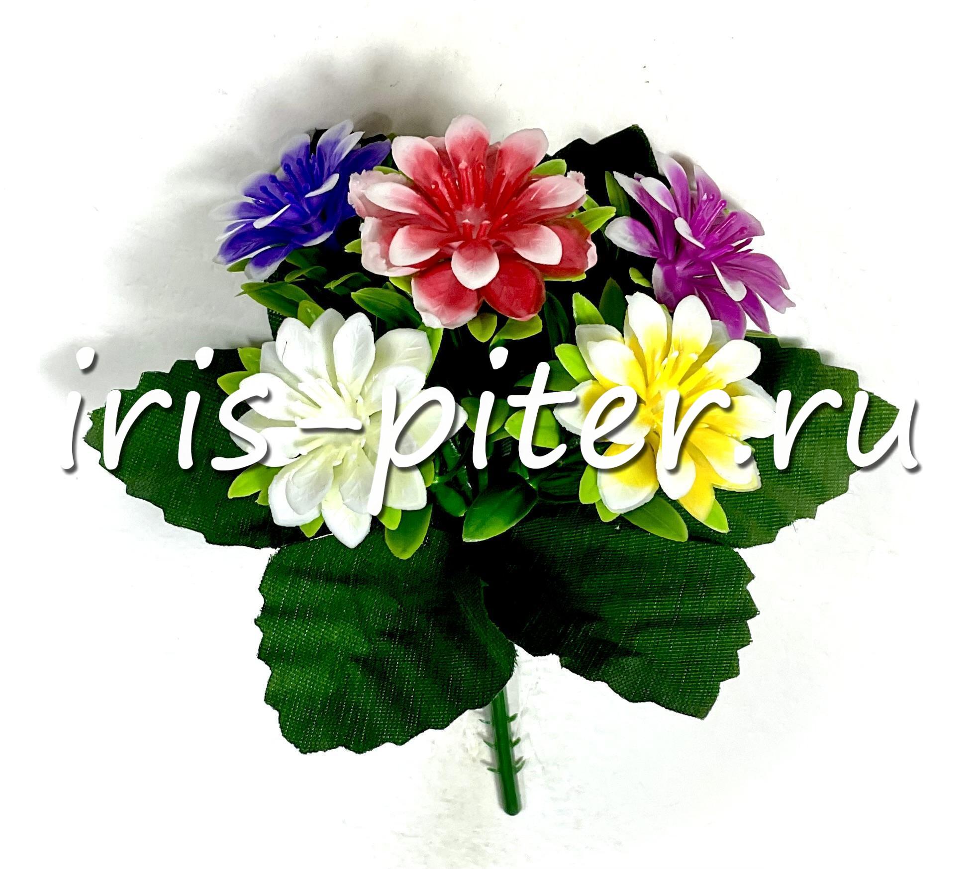 Букет маргаритка 5г разноцветная