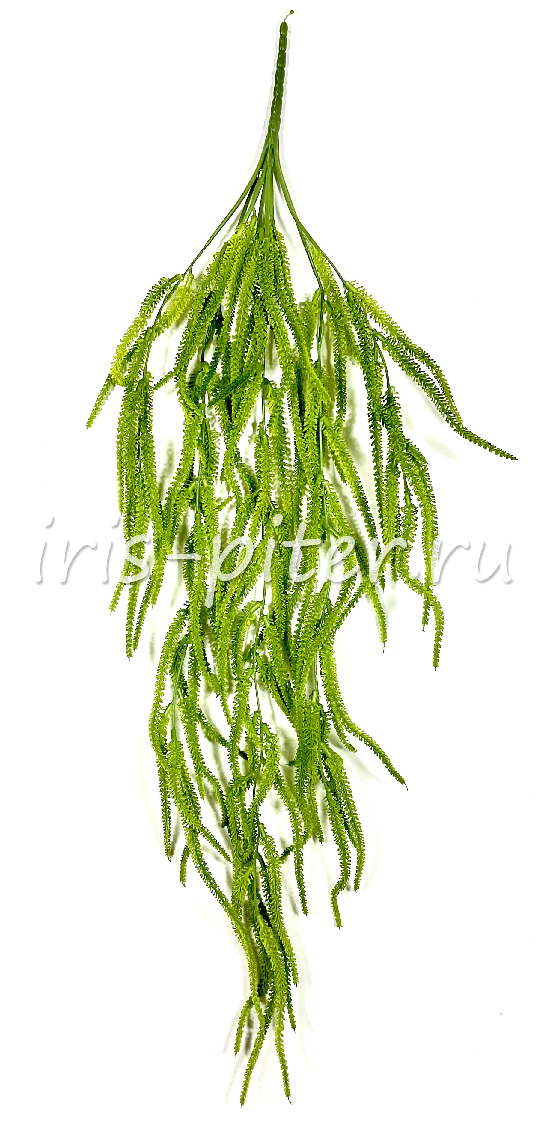 Ветка плаун 9вет 