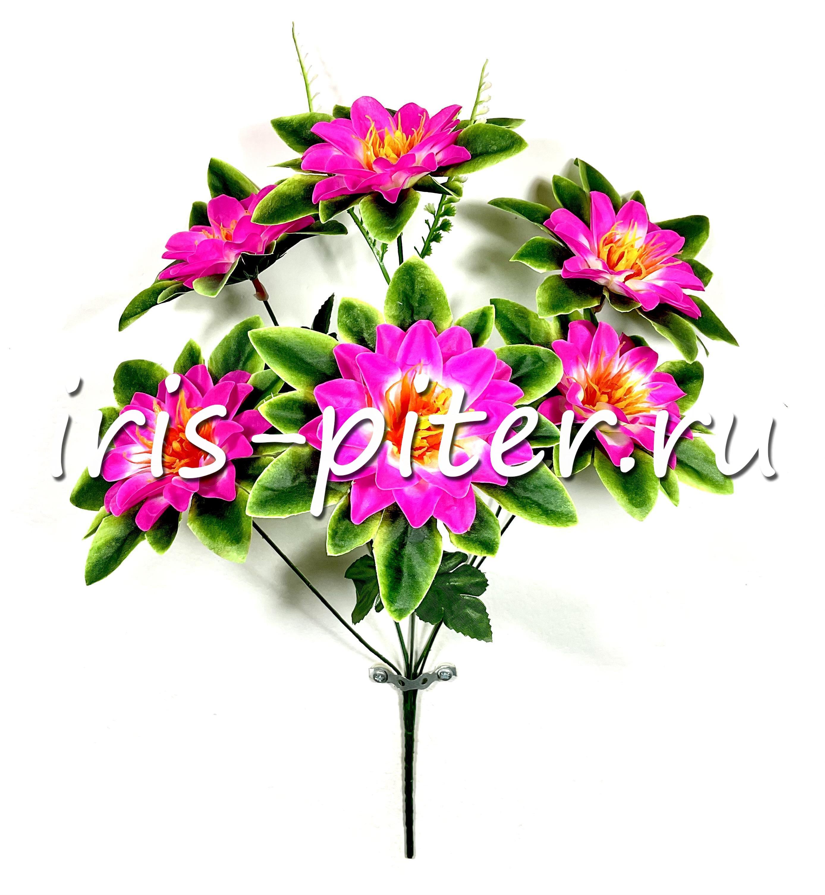 Букет георгин 6г с юбкой 