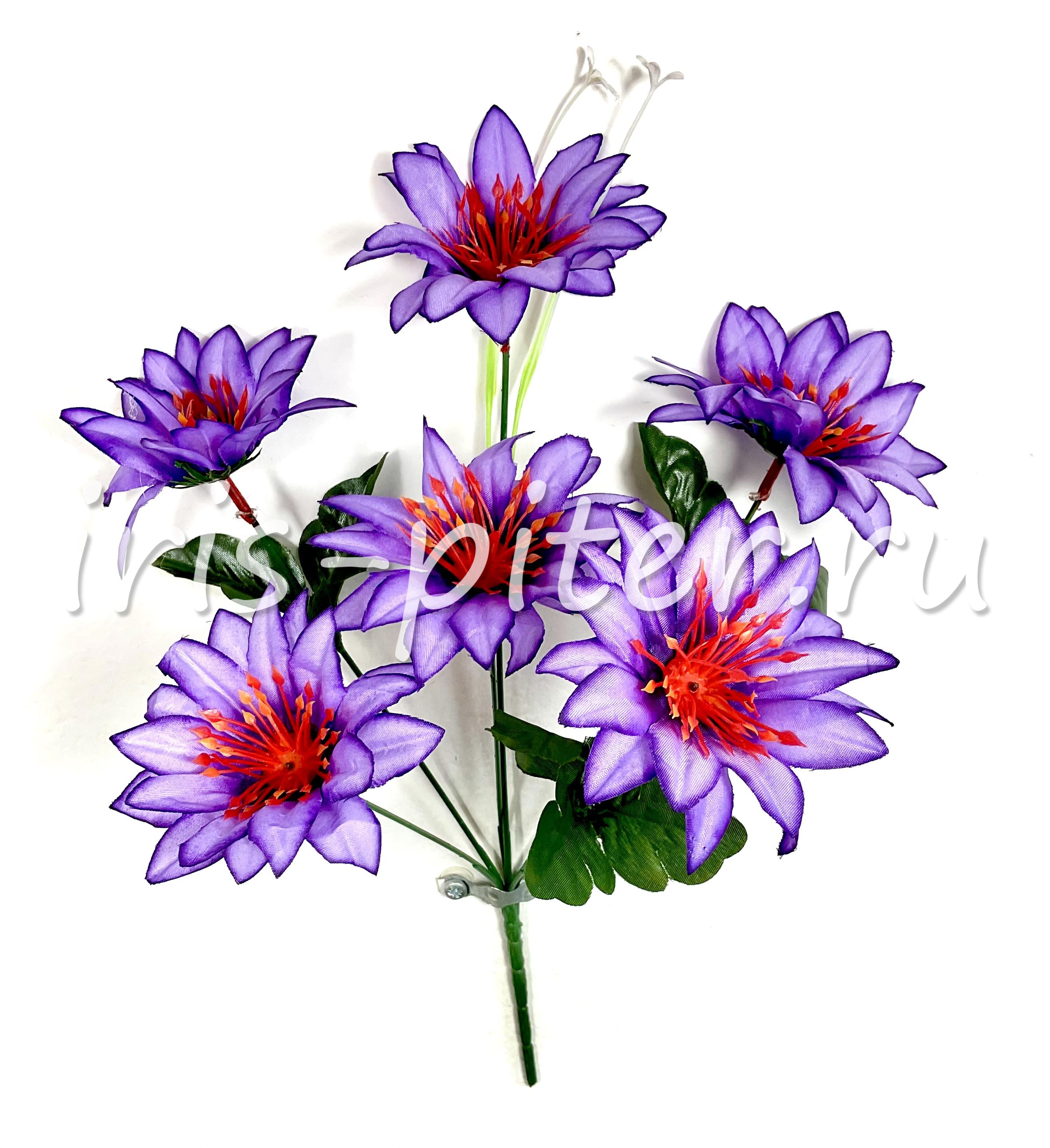 Букет георгин 6г красн ресничка