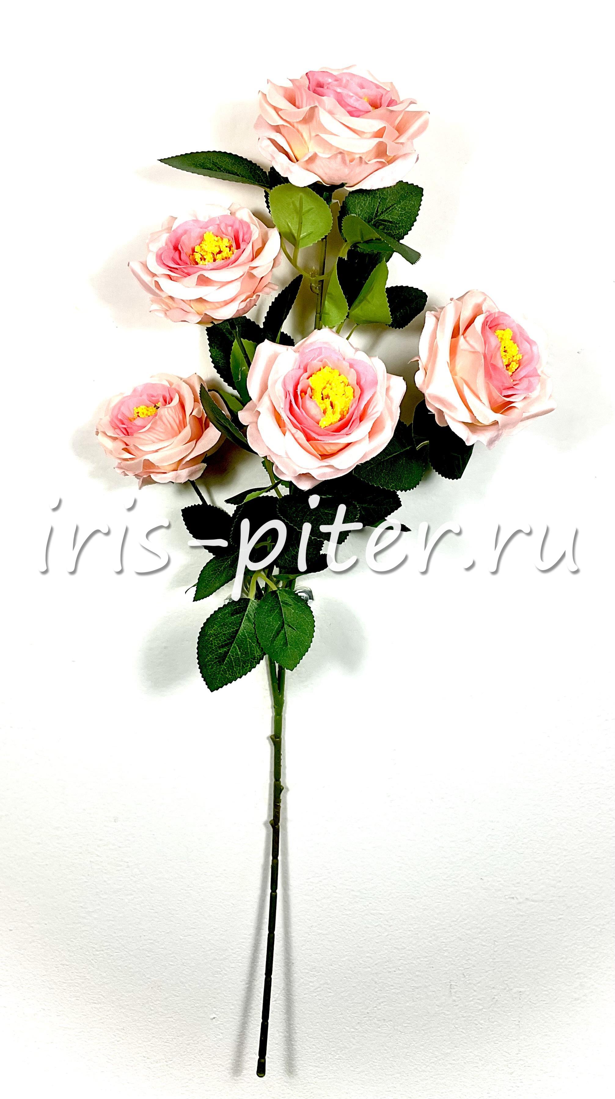 Ветка шиповник 5г 