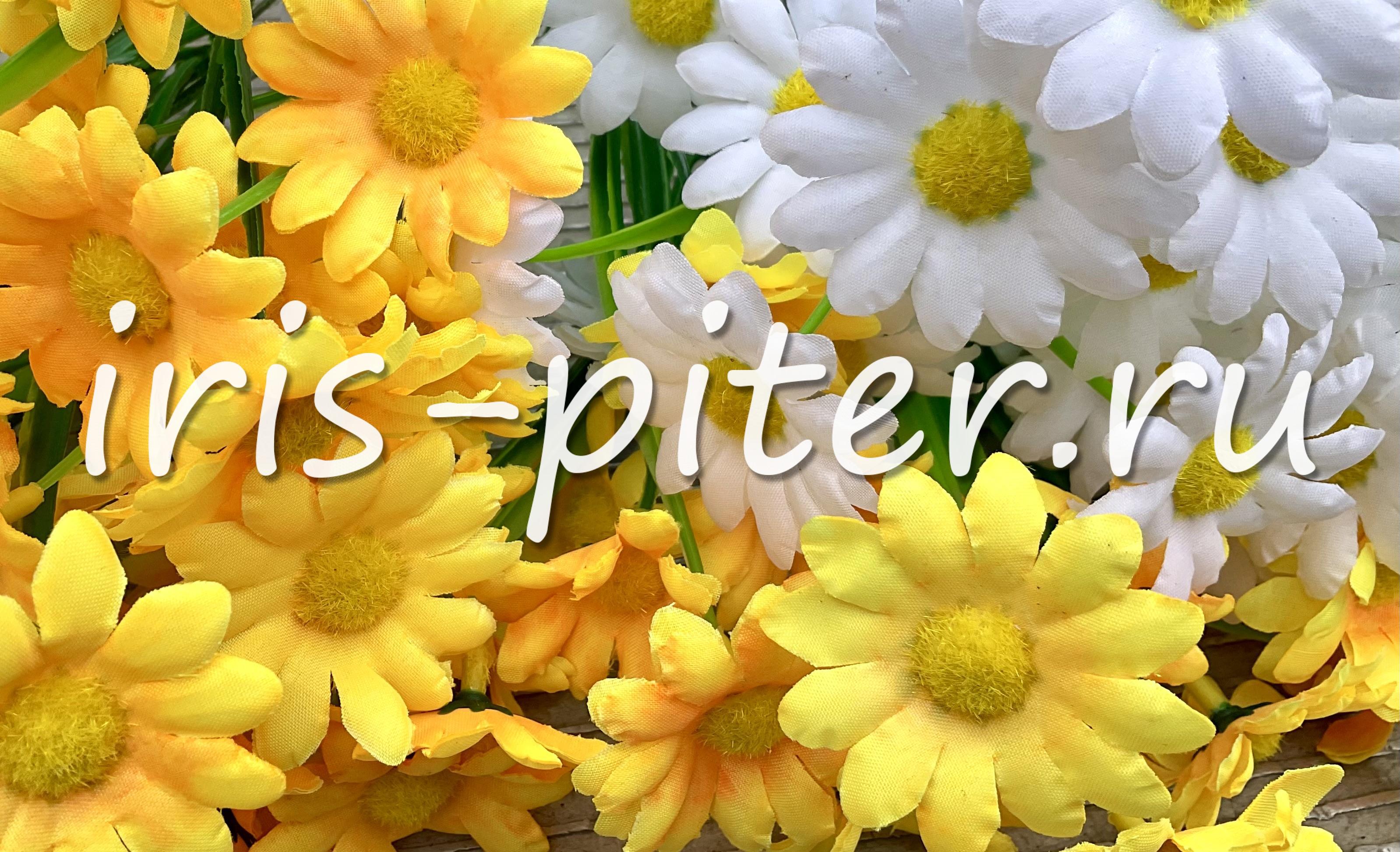 Букет ромашка 78г с травой