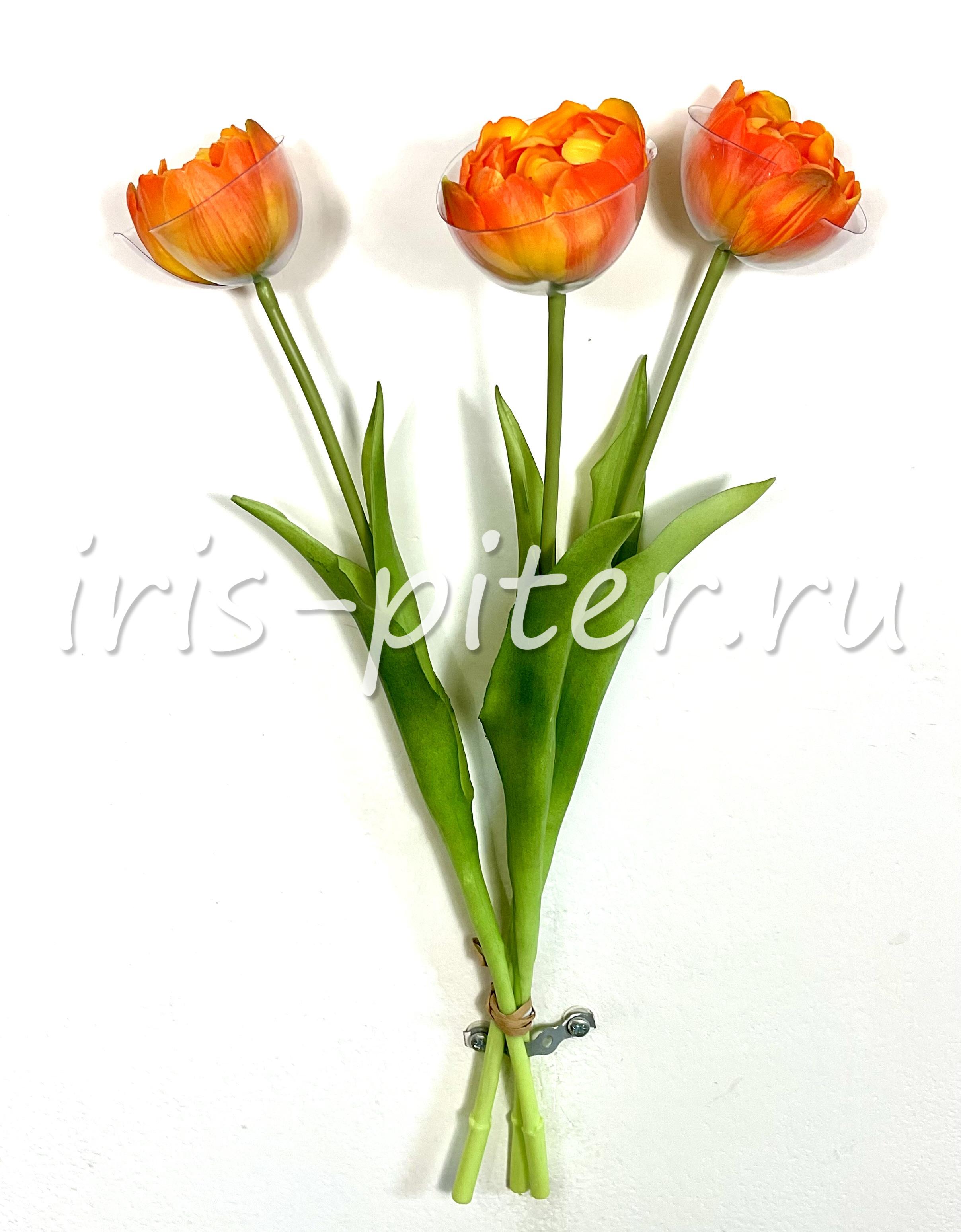 тюльпан 3г латекс