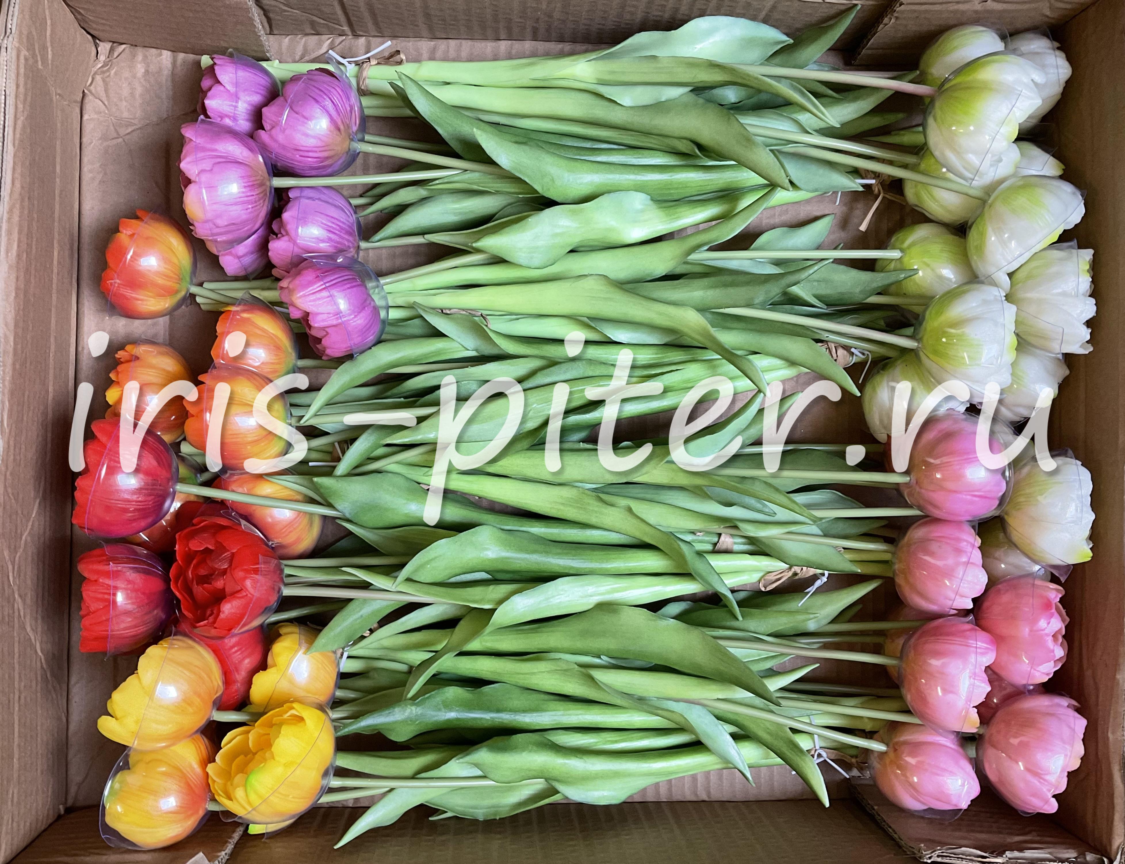 тюльпан 3г латекс