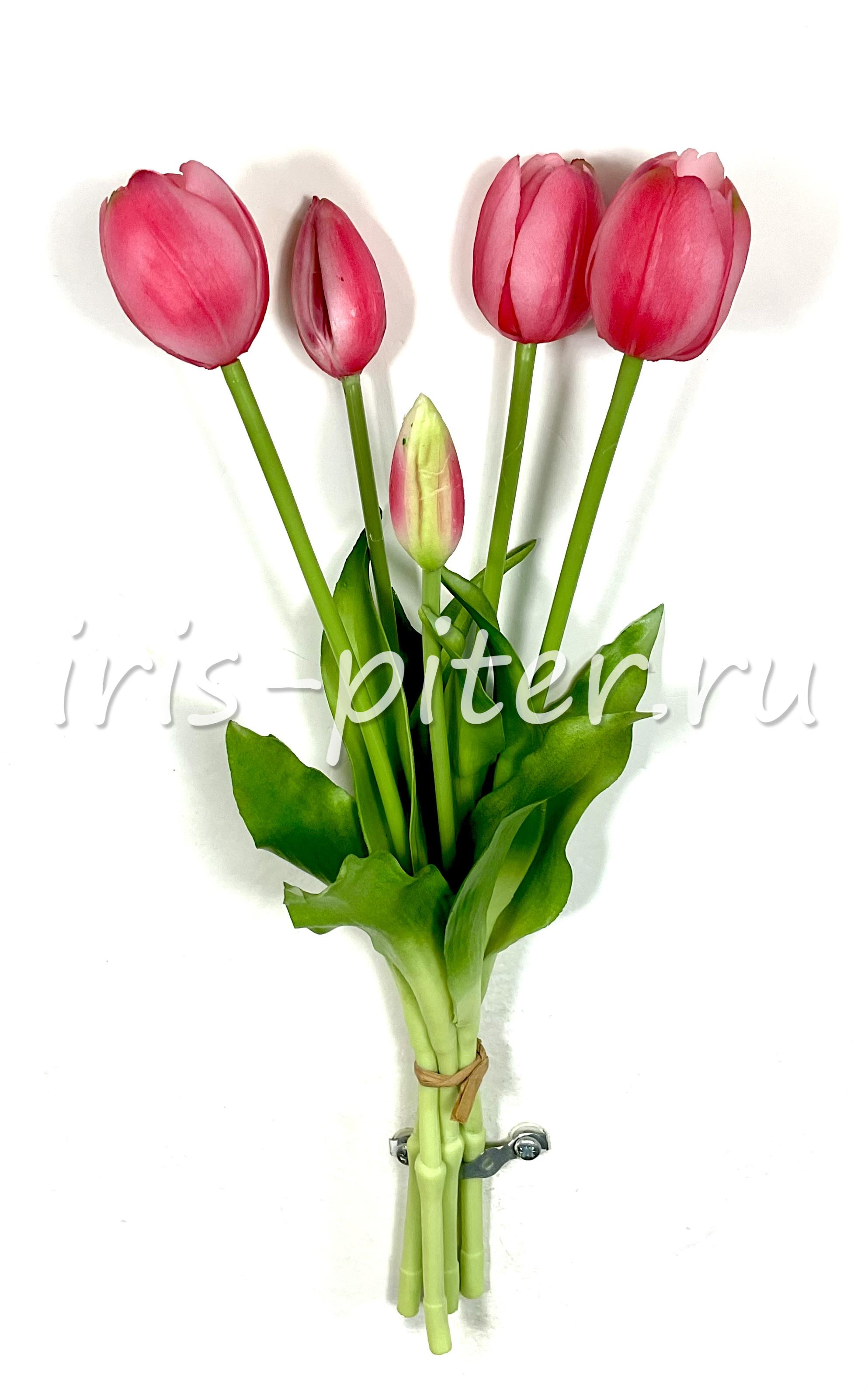 тюльпан 5г латекс